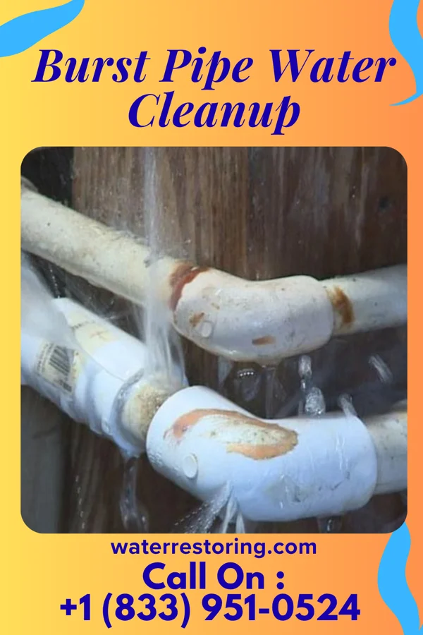 Burst Pipe Water Cleanup in Fairlawn, VA