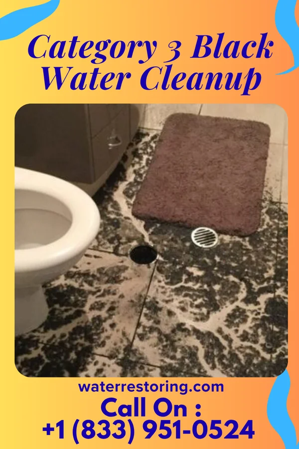 Category 3 Black Water Cleanup in Fairlawn, VA