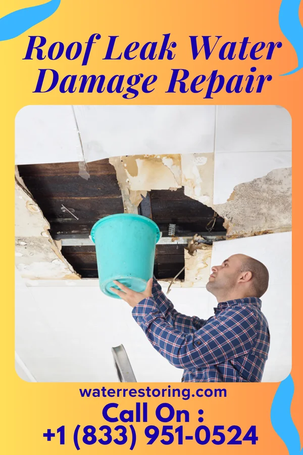 Roof Leak Water Damage Repair in Fairlawn, VA