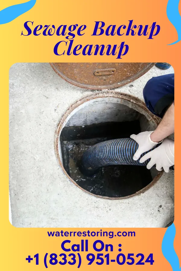 Sewage Backup Cleanup in Fairlawn, VA