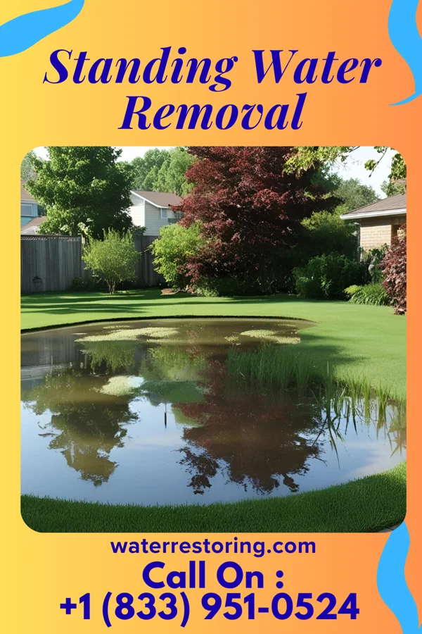 Standing Water Removal in Fairlawn, VA